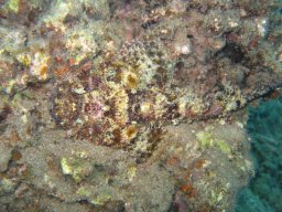 marsa_alam_200510 234